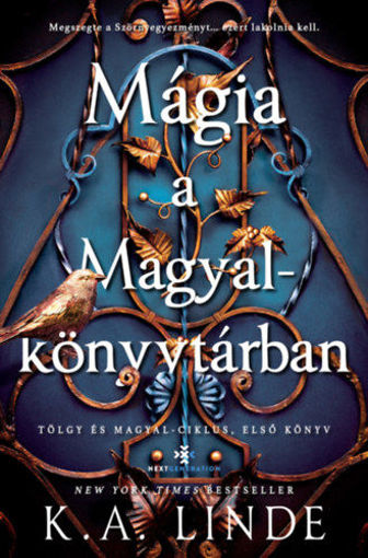 Mágia a Magyalkönyvtárban - (Különleges kiadás) termékhez kapcsolódó kép