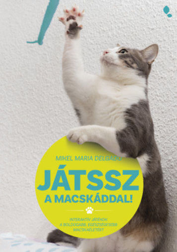 Játssz a macskáddal! termékhez kapcsolódó kép