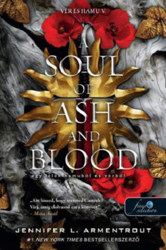 A Soul of Ash and Blood - Egy lélek hamuból és vérből - Vér és hamu 5. termékhez kapcsolódó kép