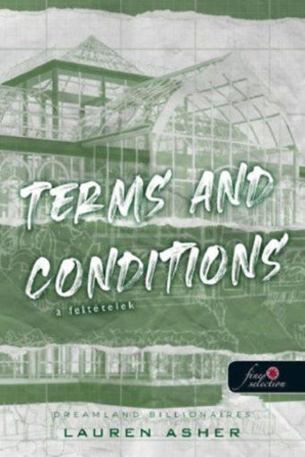 Terms and Conditions - A feltételek - Dreamland Billionaires 2. termékhez kapcsolódó kép