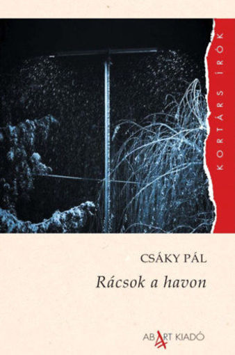 Rácsok a havon termékhez kapcsolódó kép