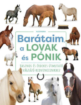 Barátaim, a lovak és pónik termékhez kapcsolódó kép
