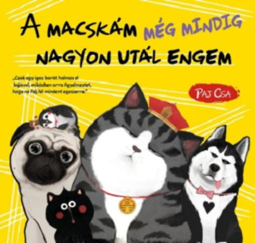 A macskám még mindig nagyon utál engem - Macska és Kutya 3. termékhez kapcsolódó kép