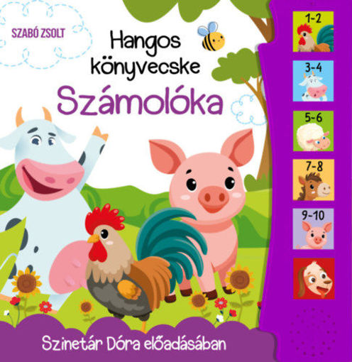 Hangos könyvecske - Számolóka termékhez kapcsolódó kép