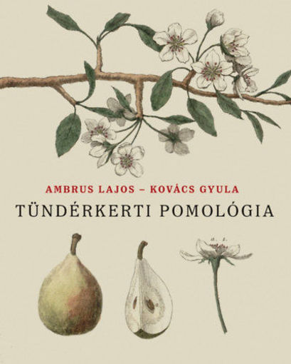 Tündérkerti pomológia termékhez kapcsolódó kép