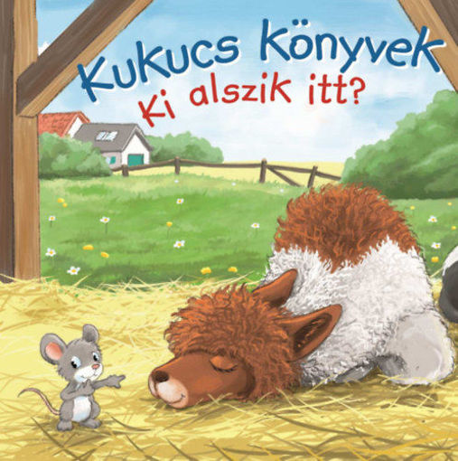 Kukucs könyvek - Ki alszik itt? termékhez kapcsolódó kép