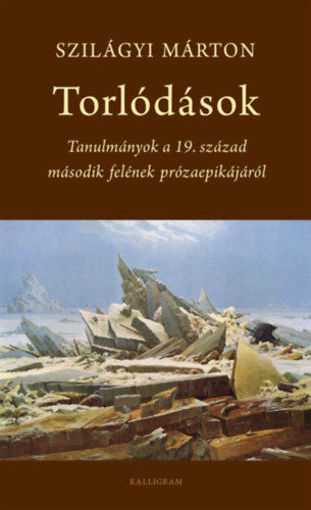 Torlódások - Tanulmányok a 19. század második felének prózaepikájáról termékhez kapcsolódó kép