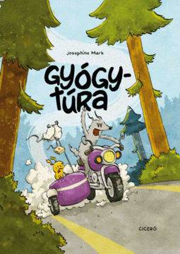 Gyógytúra termékhez kapcsolódó kép