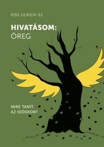 Hivatásom: öreg - Mire tanít az időskor? termékhez kapcsolódó kép