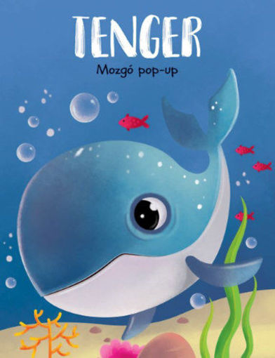 Mozgó pop-up - Tenger termékhez kapcsolódó kép