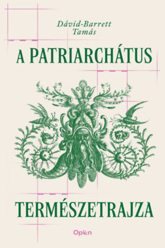 A patriarchátus természetrajza termékhez kapcsolódó kép