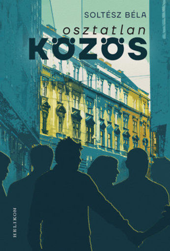 Osztatlan közös termékhez kapcsolódó kép