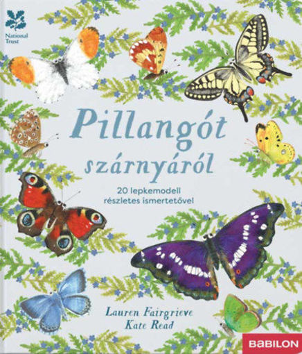 Pillangót szárnyáról - 20 lepkemodell részletes ismertetővel termékhez kapcsolódó kép
