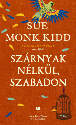Szárnyak nélkül, szabadon termékhez kapcsolódó kép