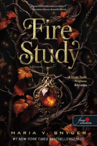 Fire Study - Tűztan - Study 3. termékhez kapcsolódó kép