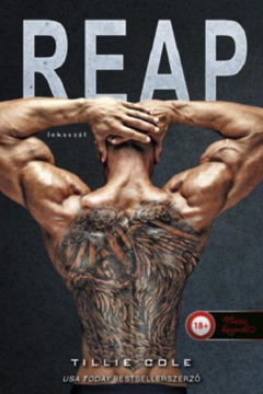 Reap - Lekaszál - Scarred Souls 2. termékhez kapcsolódó kép