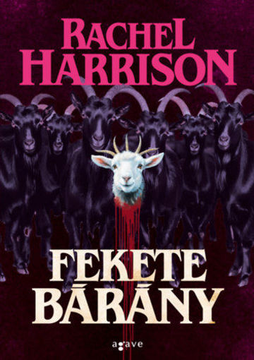 Fekete bárány termékhez kapcsolódó kép