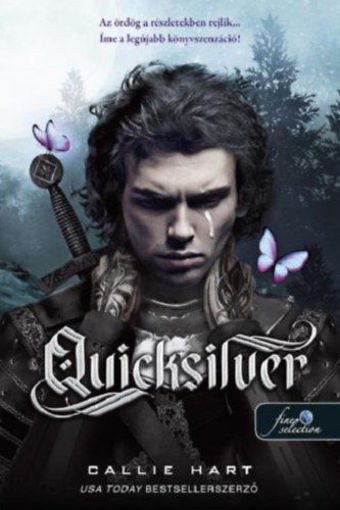 Quicksilver - kemény kötés - Tündék & Alkímia 1. termékhez kapcsolódó kép