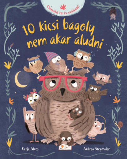 10 kicsi bagoly nem akar aludni termékhez kapcsolódó kép