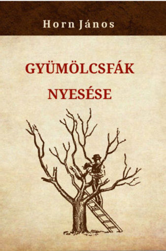 Gyümölcsfák nyesése termékhez kapcsolódó kép