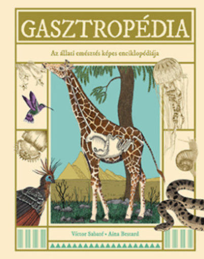 Gasztropédia - Az állati emésztés képes enciklopédiája termékhez kapcsolódó kép