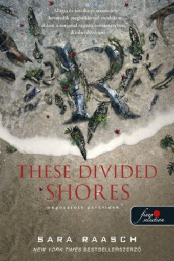 These Divided Shores - Megosztott partvidék - Folyami kalózok 2. termékhez kapcsolódó kép