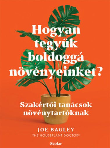 Hogyan tegyük boldoggá növényeinket? - Szakértői tanácsok növénytartóknak termékhez kapcsolódó kép