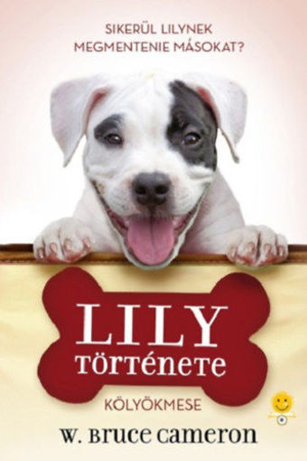 Lily története - Egy kutya négy élete termékhez kapcsolódó kép