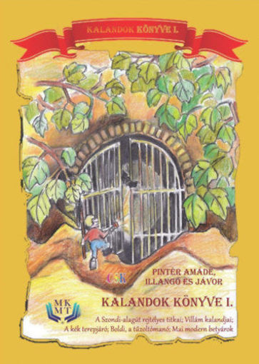 Kalandok könyve I. termékhez kapcsolódó kép