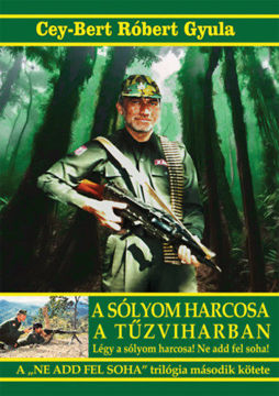A sólyom harcosa a tűzviharban termékhez kapcsolódó kép