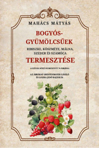 Bogyós gyümölcsűek termesztése - Ribiszke, köszméte, málna, szeder és szamóca termékhez kapcsolódó kép