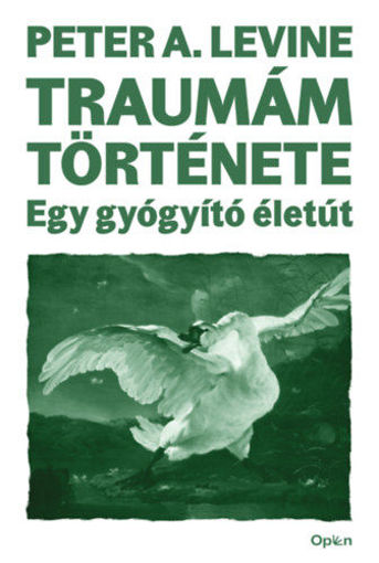 Traumám története - Egy gyógyító életút termékhez kapcsolódó kép
