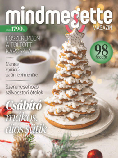 Mindmegette magazin 2025/karácsony termékhez kapcsolódó kép