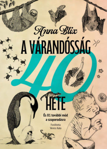 A várandósság 40 hete - És 81 további mód a szaporodásra termékhez kapcsolódó kép