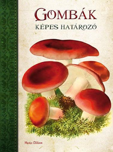 Gombák - Képes határozó termékhez kapcsolódó kép