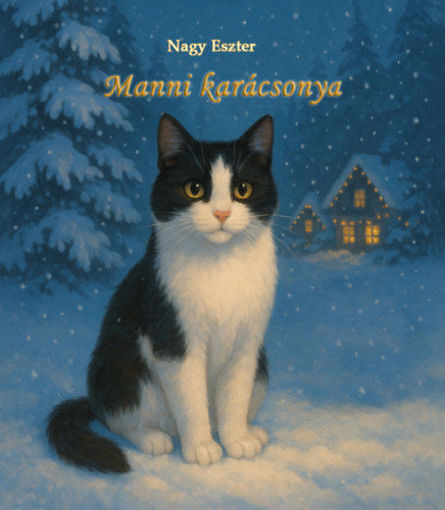 Manni karácsonya termékhez kapcsolódó kép