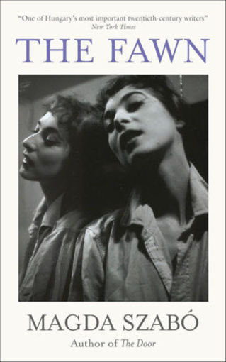 The Fawn termékhez kapcsolódó kép