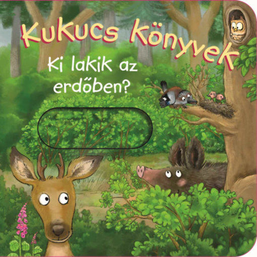 Kukucs könyvek - Ki lakik az erdőben? termékhez kapcsolódó kép