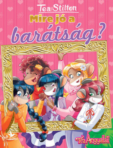 Mire jó a barátság? termékhez kapcsolódó kép