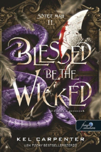 Blessed be the Wicked - Áldottak a gonoszok - Sötét maji 2. termékhez kapcsolódó kép