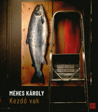 Kezdő vak termékhez kapcsolódó kép