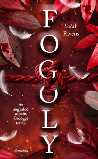 Fogoly 2 - (Különleges kiadás) termékhez kapcsolódó kép