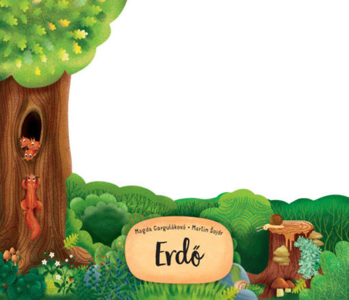 Erdő termékhez kapcsolódó kép