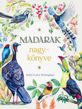 Madarak nagykönyve termékhez kapcsolódó kép