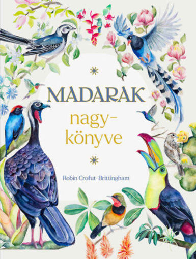 Madarak nagykönyve termékhez kapcsolódó kép