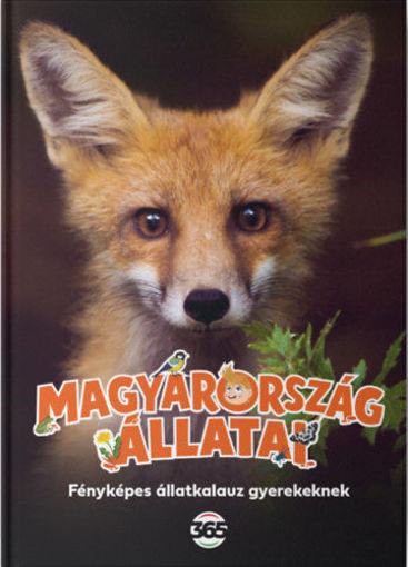 Magyarország állatai - Fényképes állatkalauz gyerekeknek termékhez kapcsolódó kép