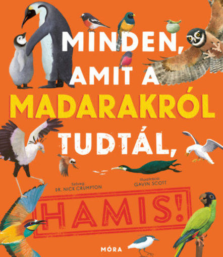 Minden, amit a madarakról tudtál, HAMIS termékhez kapcsolódó kép