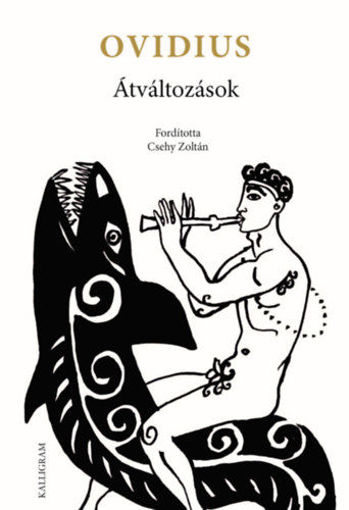 Átváltozások termékhez kapcsolódó kép