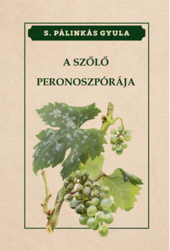 A szőlő peronoszpórája termékhez kapcsolódó kép