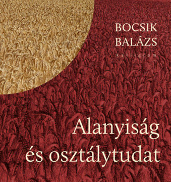 Alanyiság és osztálytudat termékhez kapcsolódó kép